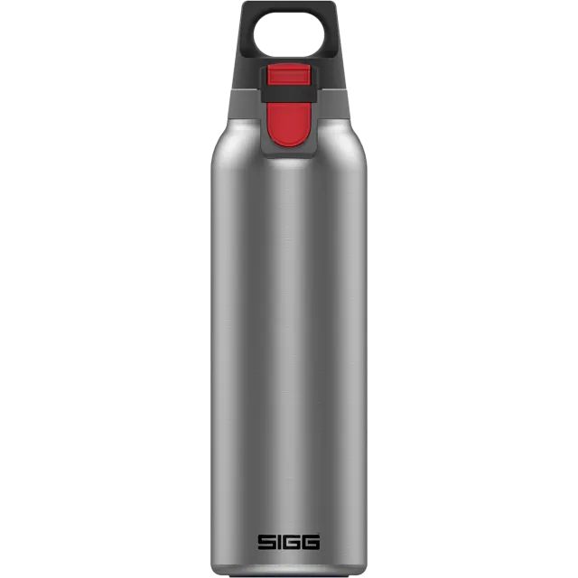 SIGG Hot &amp; Cold veepudel teefiltriga, 0,55L, foto 1/3